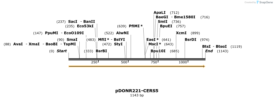 322707_map