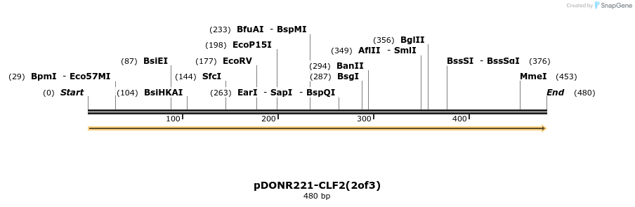 322708_map