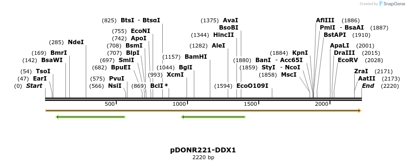 322709_map