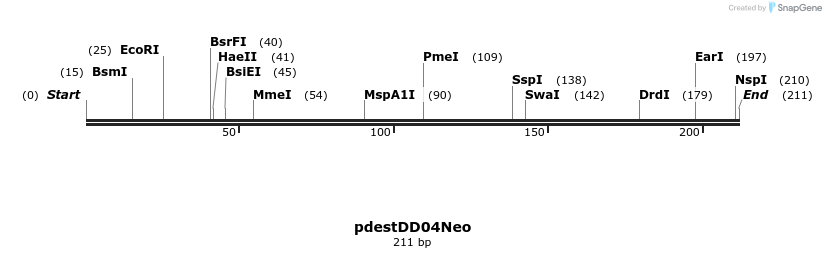 32271_map