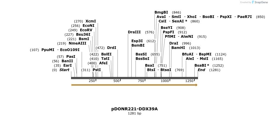 322710_map