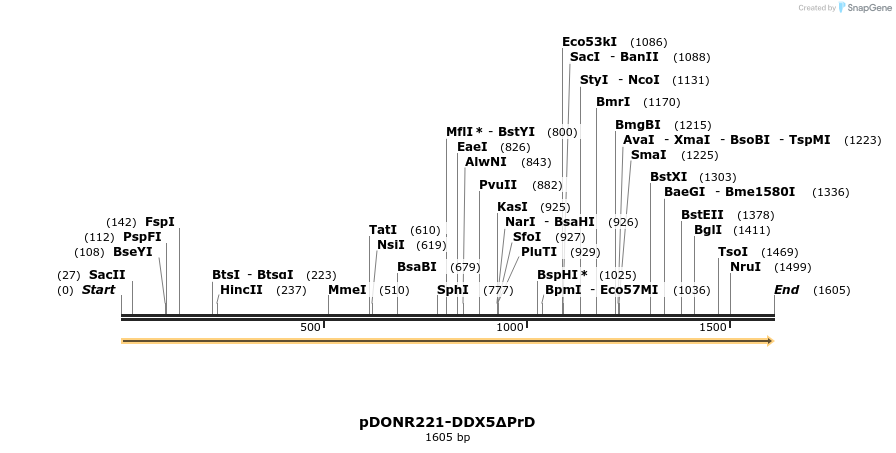 322713_map