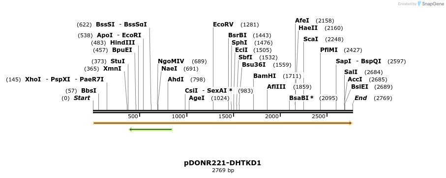 322717_map