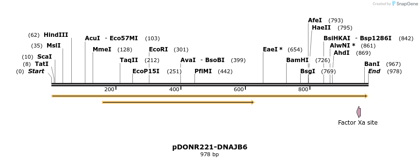 322718_map
