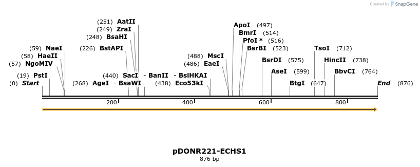 322719_map