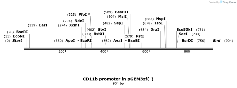 32272_map