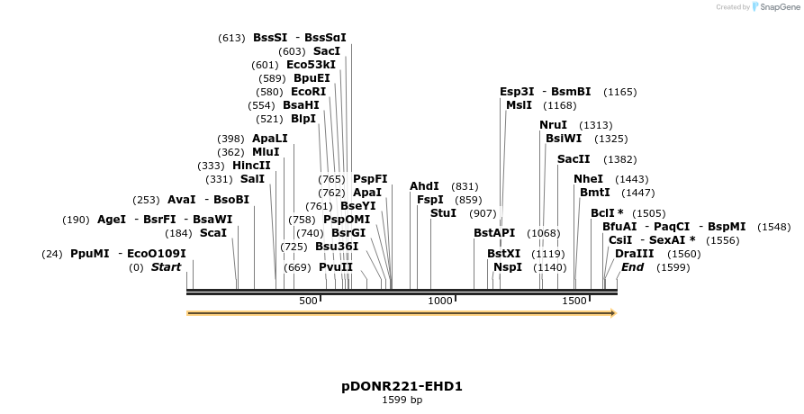 322720_map