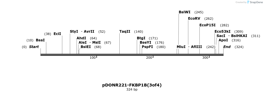 322723_map