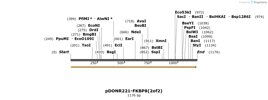 322724_map