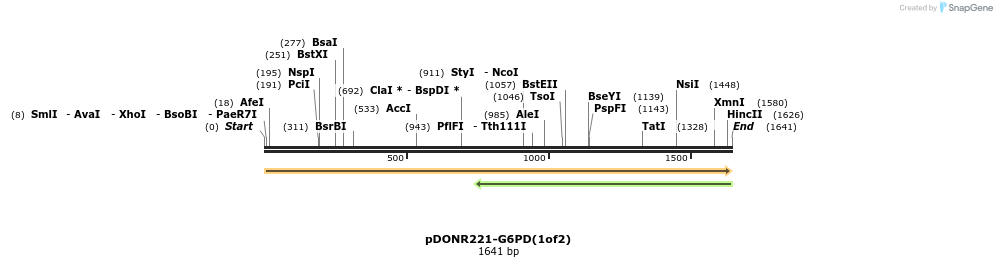 322725_map