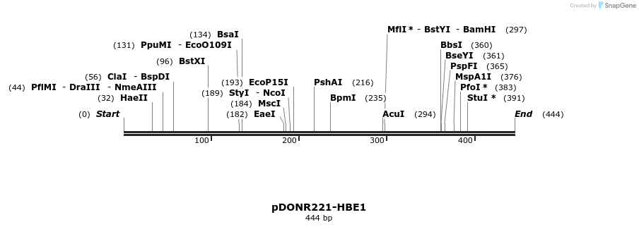 322727_map