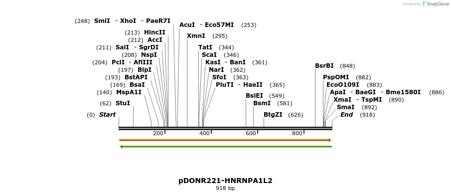 322728_map