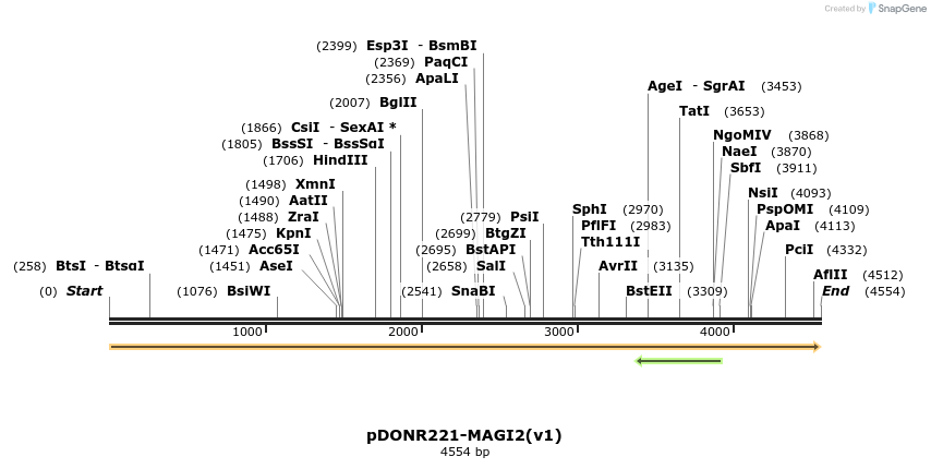 322731_map