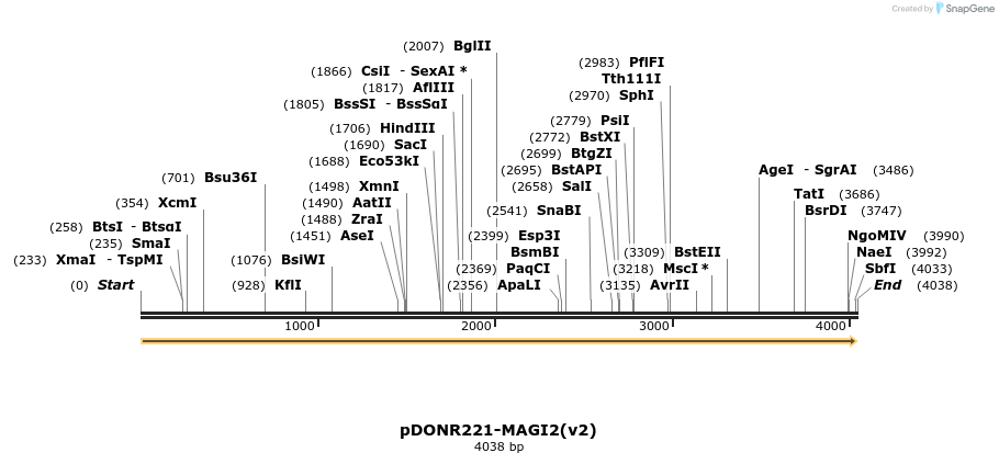 322732_map