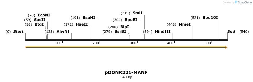 322733_map