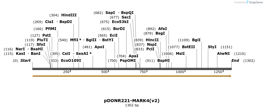 322735_map