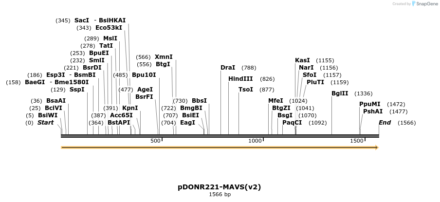 322738_map