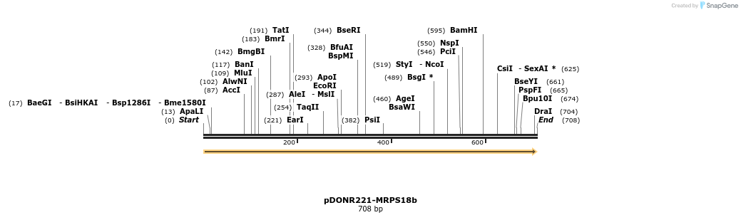 322739_map