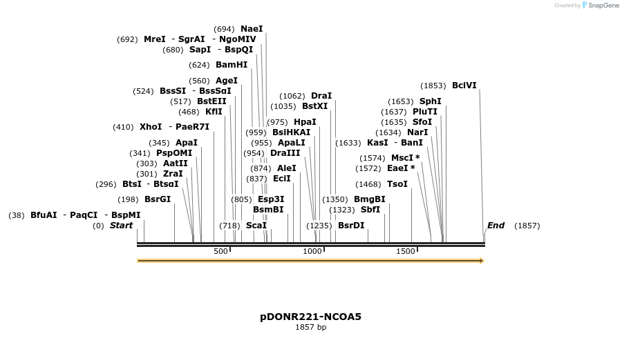 322740_map