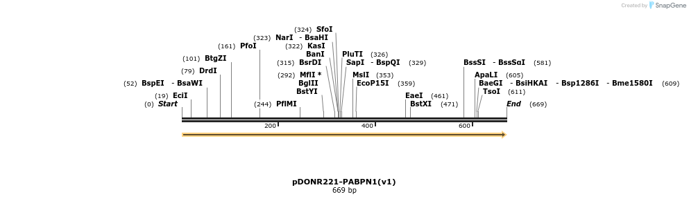 322743_map