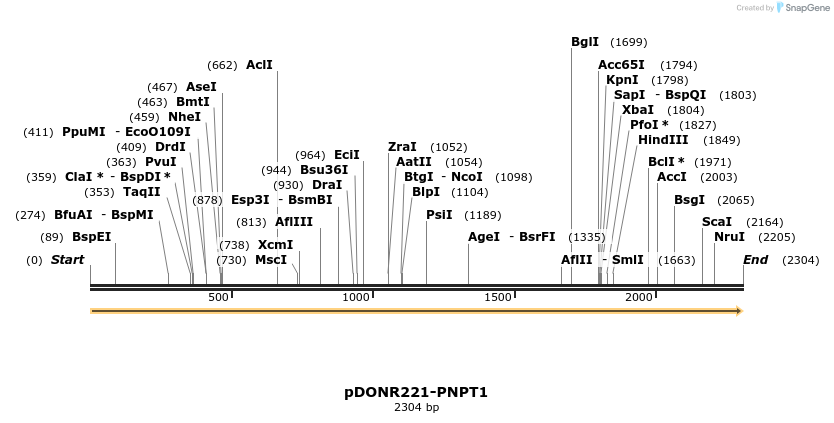 322745_map