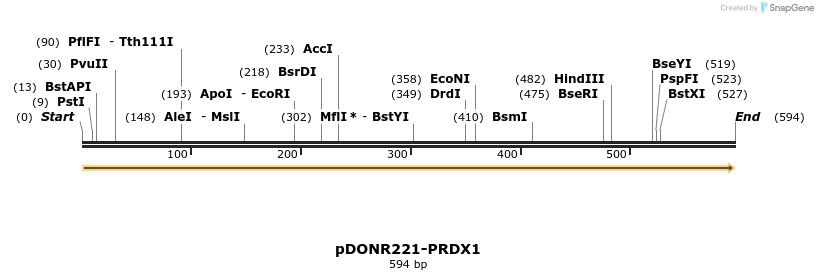 322746_map