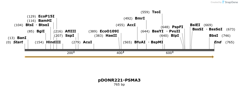 322749_map