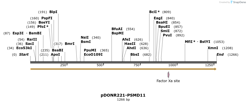 322750_map