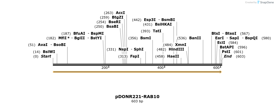 322751_map