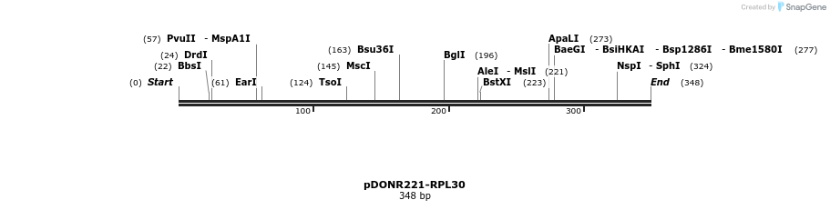 322752_map