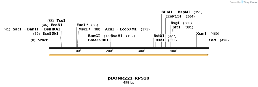 322753_map