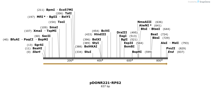 322754_map