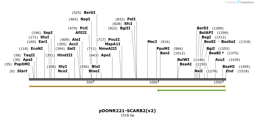 322756_map