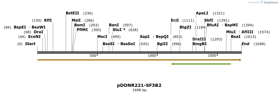 322757_map