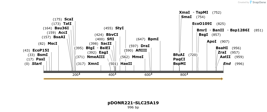 322758_map