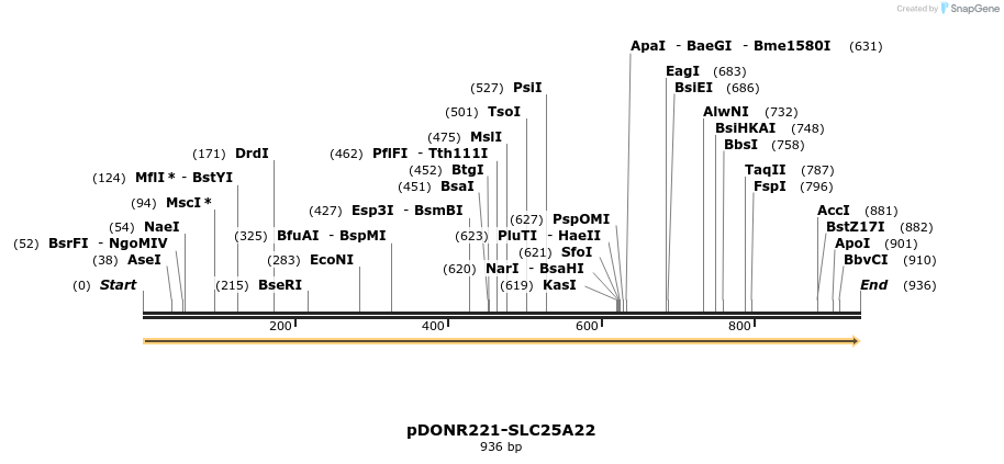 322759_map