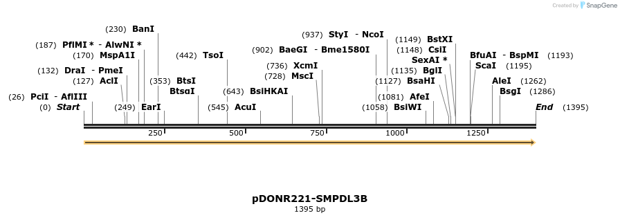 322760_map