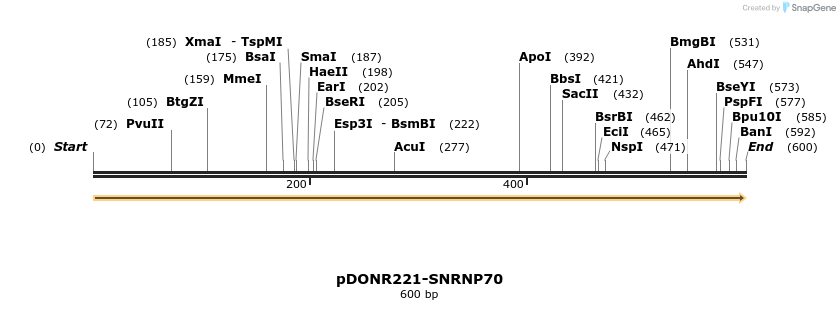 322761_map