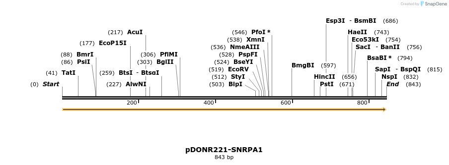 322762_map