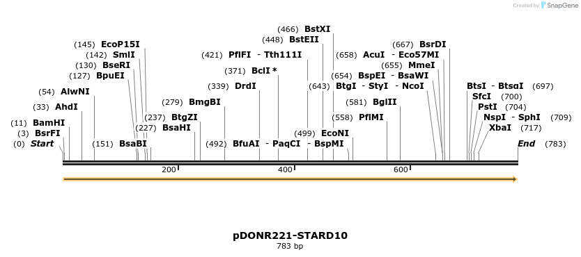 322765_map