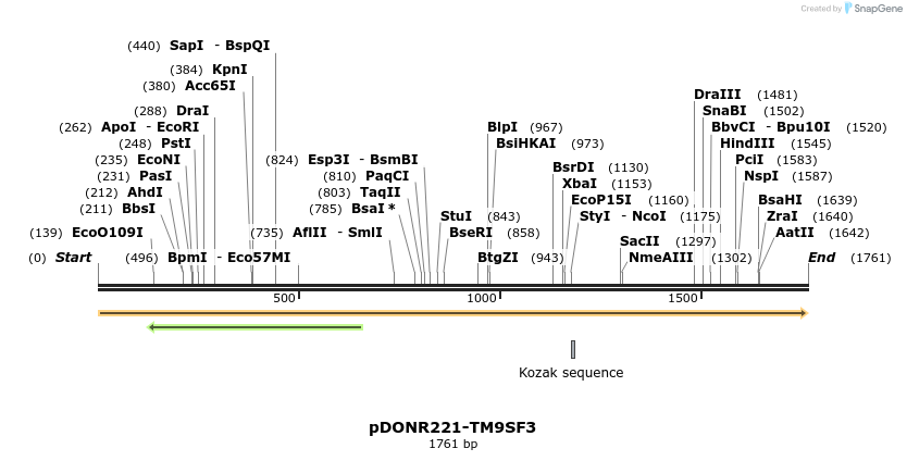 322767_map