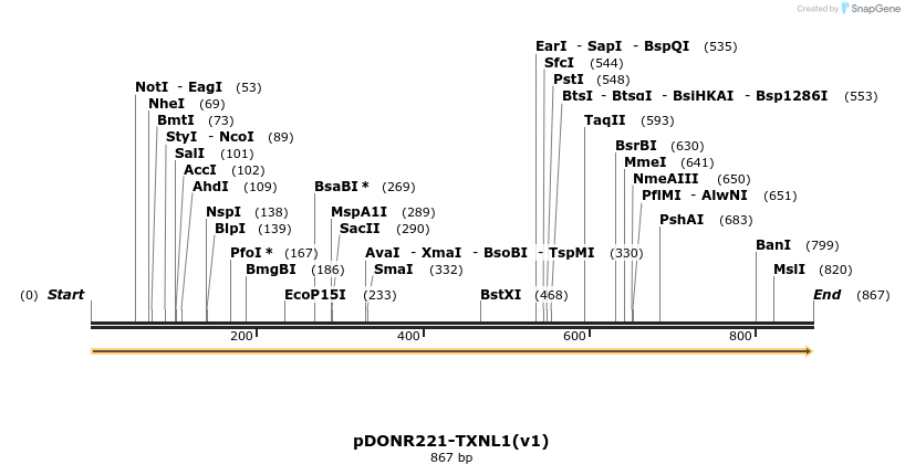 322768_map