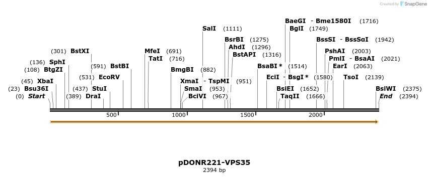 322769_map