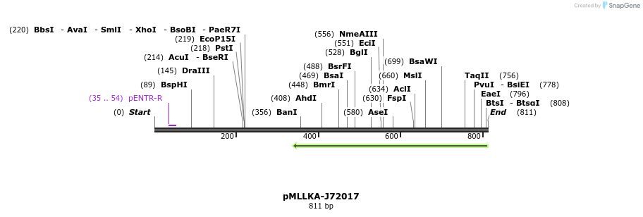 32277_map