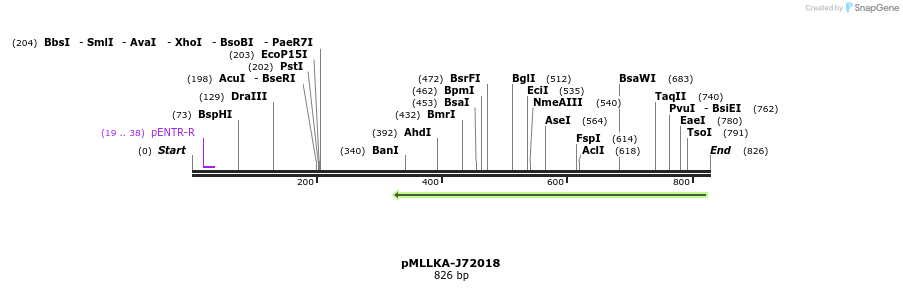 32278_map