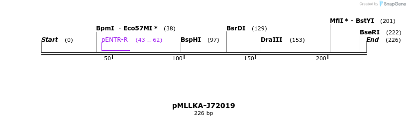 32279_map