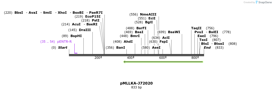 32280_map