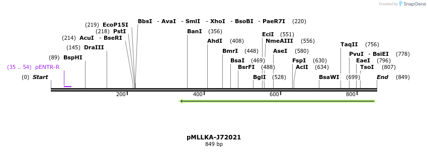 32281_map