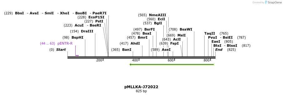 32282_map