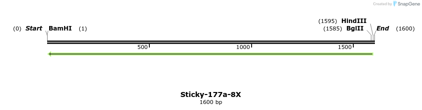 322841_map